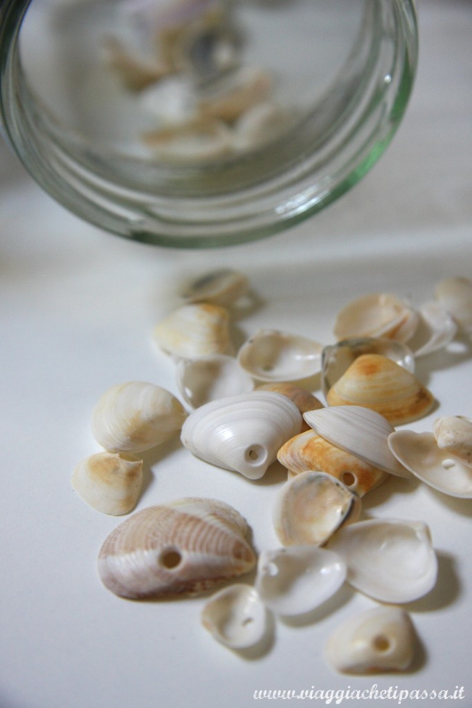 conchiglie con buchino