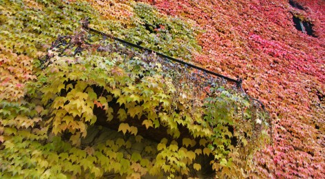 Tempo di fall foliage, 4 idee weekend