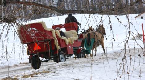 Weekend d'inverno in Engadina, gita in carrozza nella Val di Fex
